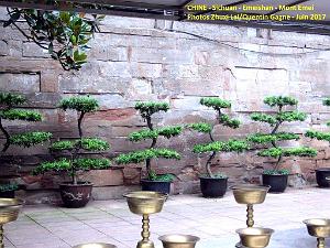 Emeishan 023